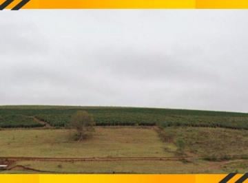 Rural , Machado · IMÓVEL RURAL | 20,77 HECTARES | FAZENDA SANTA AMÁLIA - MACHADO/MG