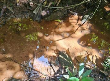 Terreno , Juquitiba · Terreno com água de riacho nos fundos em Juquitiba