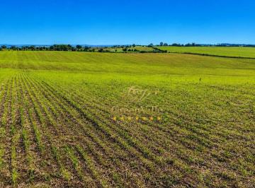 a731e5ee5b43b283b669a19c55827f7fd7e9427c · Lapa/PR - Fazendinha Plana e 90% Agricultável  – 22,65 hectares