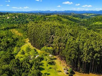 d77b845054351afdd5fcd893f4fab1f2da3e4f1a · Campo Largo/ Três Córregos, Fazenda 92,94 Hectares + Reflorestamento + Lago