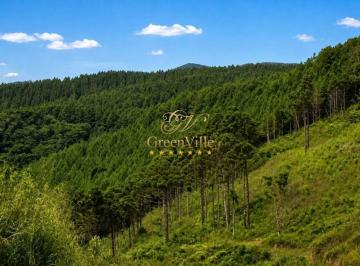 205bfb9efc76f15b17e0a8998fcef1f713e5c21c · Rio Branco do Sul - 205,12 hectares | 84 alqueires | 157 hectares Reflorestamento de Pinus