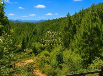 adf48234cb98a66f5f928bc26567b81bd1a02324 · Rio Branco do Sul - 205,12 hectares | 84 alqueires | 157 hectares Reflorestamento de Pinus