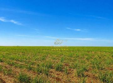 10df63781af3f40441111c15a37f69d5718a23af · Cianorte, Fazenda Maringá e Cianorte| Paraná