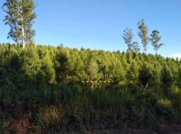 9d107d8e3f7eea62eff848e90fa35af6ae0ca23d · Campo Largo , Itambezinho, 106 Alqueires ou 258 Há, 59km Parque Barigui