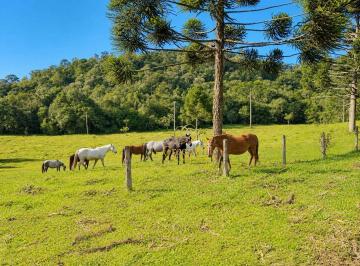 a057196ebce378f25d51711998de83c448815e16 · Tijucas do Sul - Fazenda 367 Há, 152 Alqueires, à 4km BR-376