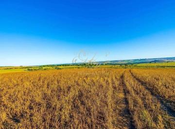 b4f2cb5e7684a417d00c23b8b4840d20f6f29fc3 · Ponta Grossa, Fazenda plana , 45 hectares (18 alqueires)