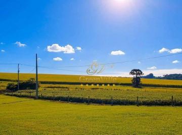 036d47bf0761a9b61abaa8cad82f44a667f2d3aa · São Mateus do Sul, Fazenda 125 Alqueires, ou 302 Há, Dupla Aptidão