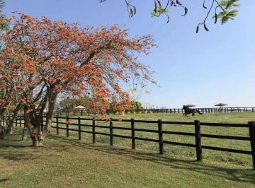 ef4154a469493ac46d32a7bb918fef5994c4a3e2 · Lapa, Fazenda 433,18 Hectares | 170 Alqueires