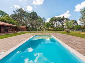 50873e383e5a5959357c8c96369ad07c96cbeef4 · Campo Largo , 29.000m²,no Miqueleto, à 30km do Parque Barigui,