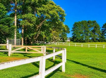 eecf71050493540ea707c98ca66037738274d348 · São José dos Pinhais, Haras 20 Baias, 11 Piquetes