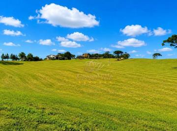 3343c59d8adae53df75913e3281068ba22442847 · Lapa/ Balsa Nova, 45 alqueires ,110,31 hectares , planta 16 alqueires