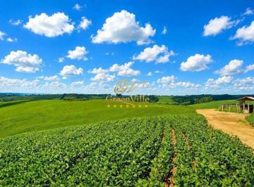 6fd02a6958837bf91f000c2c8a8b67cb39fd6b93 · Lapa, 101,64 hectares ou 42 alqueires, Plantando 35 Alqueires