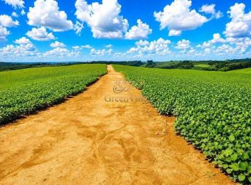 094415428f13fc58121bf67189a84c93074c2a04 · Lapa, 101,64 hectares ou 42 alqueires, Plantando 35 Alqueires