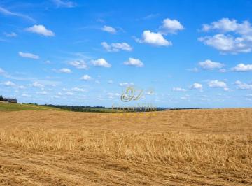 76c0fb9ce00edd992dbda8709178402fc4765ce8 · São Luiz do Purunã, 62 hectares ou 26 alqueires , PLANTA 70%,
