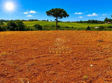 938f4b72d876b6bf5d164eddf5f2cf81933ec24d · Araucária | Guajuvira | 300m do asfalto | 5 alqueires | 12,35 hectares | Barracão