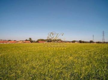 72765db9c919268dc75bd9b39134ac304e35180d · Campo Largo, Terreno ZIL1 (BR-277), 51.495 m²