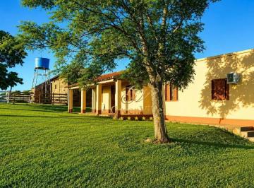 8a837a3c86d41d957d80c4ff29dba887e2080a34 · Caverá, Alegrete/ RS/ Fazenda – 32,70 hectares | Ideal para pecuária, ovinos, haras