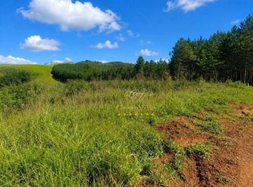 1019513a36d3ee12ab3c6eb4466a6cfd1bf3eb80 · Campo Largo/ Três Córregos, 383 alqueires ou 926,93 hectares,