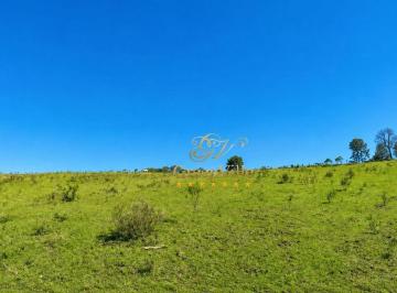 db30876d40504ee24b350c919fdcac27b39ee14f · Ferraria, Campo Largo - Excelente Oportunidade de Investimento