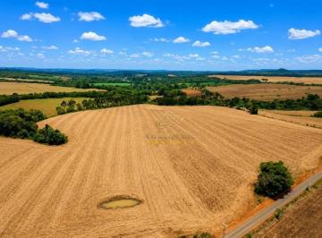 36946a69f194eed22f9cdc0ecaa3ef23c7f47c23 · Lapa, 448 Hectares, 185 Alqueires, Plantando 120 Alqueires, À 12 Km Rodovia Do Xisto