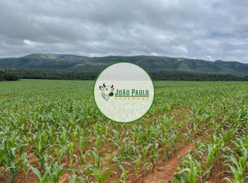 Rural , Buritis · Fazenda a venda em Buritis-MG - 373 Hectares - 7 divisões de pastos - Formada em Braquiária