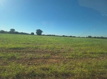 Casa · 6851883m² · à Venda - Fazenda São José | 685,1883 ha | Alexânia - GO