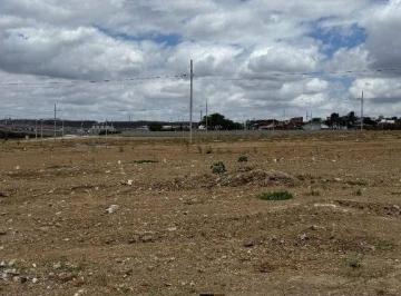 e2263f193805fb108955962d1497dd7f8969366e · Terreno à venda, 170 m² por R$ 205.000,00 - Serrotão - Campina Grande/PB