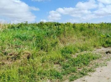 22ecc878a51b5540dba03d676956549bb1850de7 · Terreno à venda, 400 m² por R$ 40.000,00 - Massaranduba - Massaranduba/PB