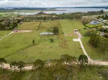 Terreno · 10000m² · Terreno à venda em Quatro Barras ARYA1