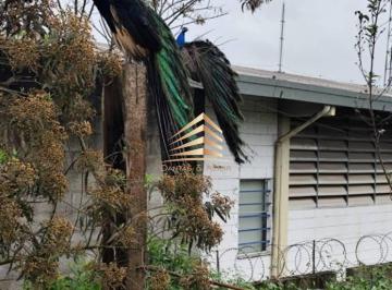 b472c812c4b4e5b937d9a10a1232595ed286bcba · Terreno para alugar, 10000 m² por R$ 100.000,00/mês - Jardim Santo Afonso - Guarulhos/SP