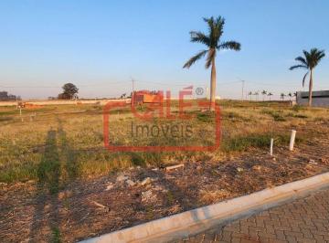 Terreno · 250m² · Terreno à venda no bairro Centro - Elias Fausto/SP
