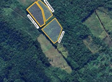 Rural · 260000m² · Sítio à venda no bairro Boa Esperança - Rolante/RS