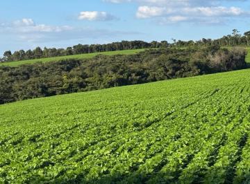 Imagem 1 · Fazenda para venda em Entre Rios de Minas