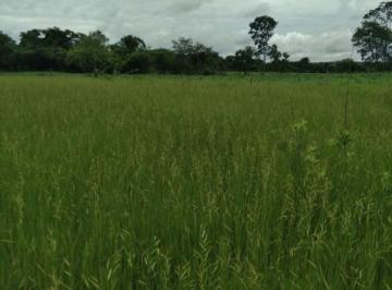 Imagem 1 · Fazenda para venda em Morro da Garça