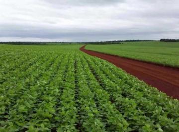 Imagem 1 · Fazenda para venda em Centro, Goioerê
