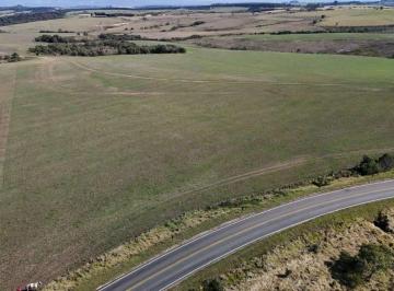 Imagem 1 · Fazenda para venda em Vila Rio Branco, Castro