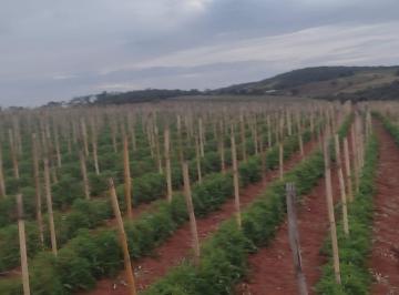 Imagem 1 · Fazenda para venda em Crucilândia