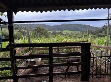 Imagem 1 · Terreno para venda em Crucilândia
