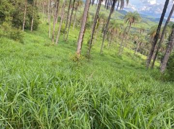 Imagem 1 · Terreno para venda em Centro, Itaguara