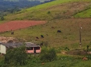 Imagem 1 · Chácara para venda em Crucilândia