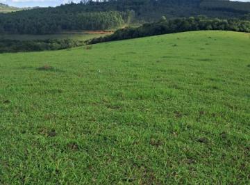 Imagem 1 · Terreno para venda em Centro, Oliveira