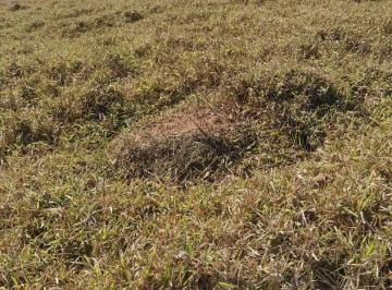 Imagem 1 · Terreno para venda em Crucilândia