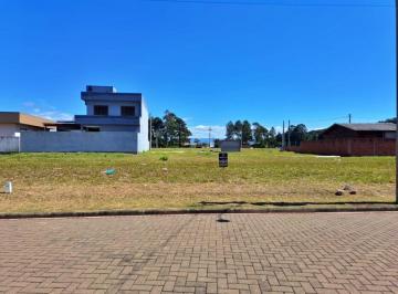 105934.jpg · Terreno - Bairro Jardim América