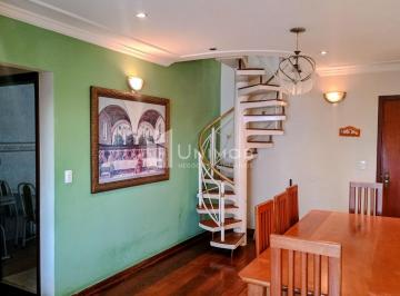 0 · apartamento para aluguel em Chácara Primavera