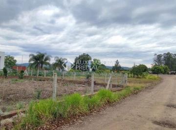 1000095397 · Oportunidade Estratégica em Rolante- Terreno a 25m da RS- 239!