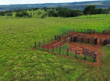 Rural · FAZENDA COM 65HEC NA LAGOA DE NOVA PONTE - TERRA VERMELHA
