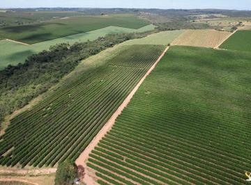 Rural · OPORTUNIDADE: FAZENDA 34HEC - 24HEC DE CAFÉ NA PLENA PRODUÇÃO EM PATROCÍNIO!
