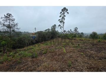 Terreno · 38302m² · Lote / Terreno para venda em Pouso Alegre de 38301.99m²