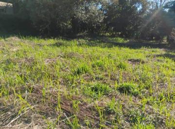 Terreno · 1180m² · Terreno en Condomínio para venda em Jardim São Bento do Recreio de 1180.00m²