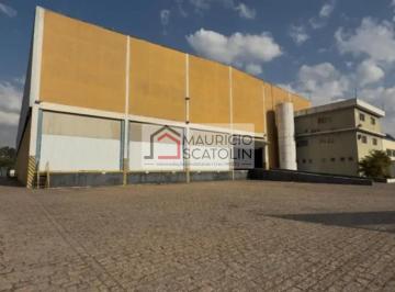 202609170717011996.png · Galpão Industrial à Venda em Bonsucesso Guarulhos | 4.276 m² | Excelente Localização